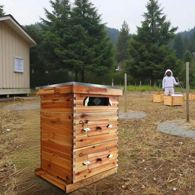 Ensemble de 10 cadres de ruche, boîte en bois avec cadres de cire pour débutants