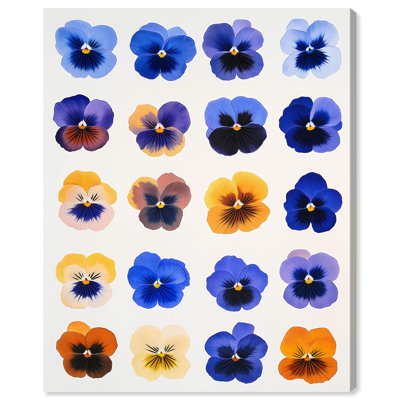 Pansy Patch Grid III Canvas Print Flower Art Decor by Art Remedy