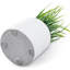 Plantes artificielles en forme de cylindre blanc moderne