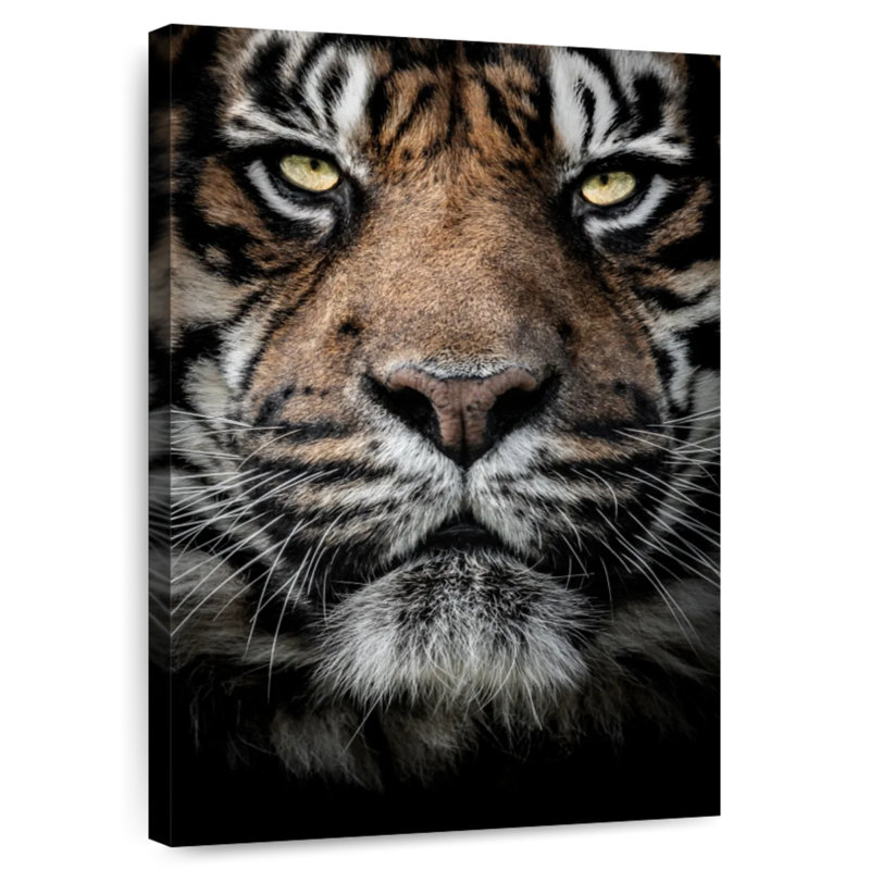Brampt Serious Bengal Tiger, 36" H x 24" W