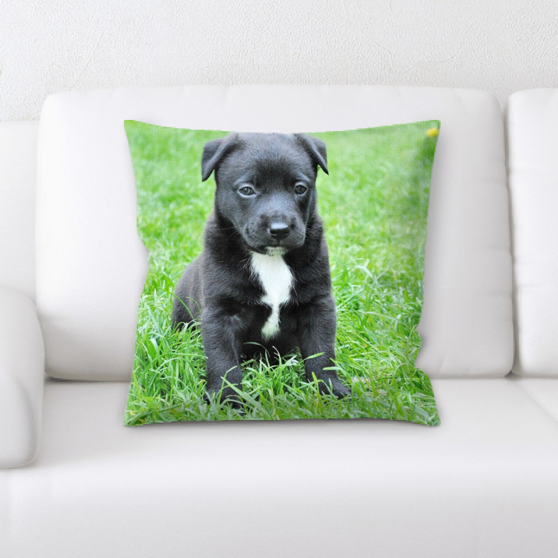 Coussin pour chien