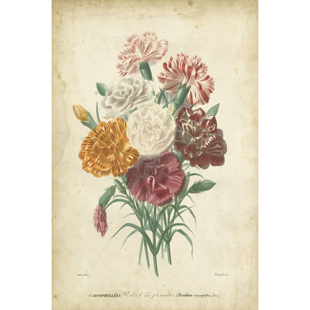 Leinwandbild Victorian Bouquet II