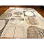 Tapis neutre moderne 8 x 10 | Tapis en laine noué à la main Népal | Motif abstrait de cercle géométrique | Tapis de salon beige Luxury