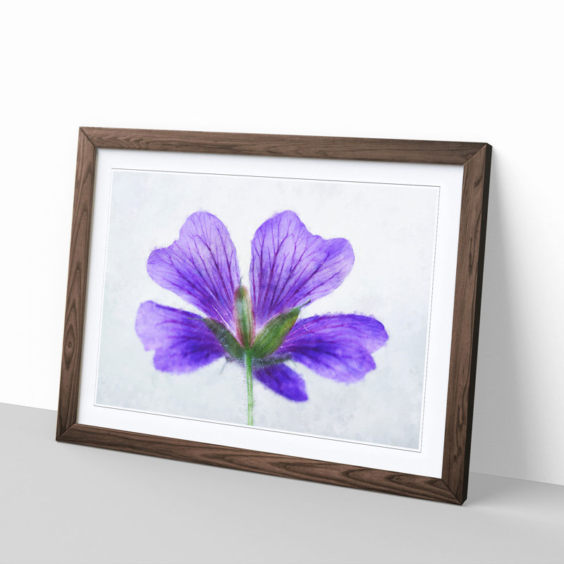 Purple Geranium Flower - Picture Frame Painting Print, 45cm H x 63cm W x 2cm D, Walnut Framed