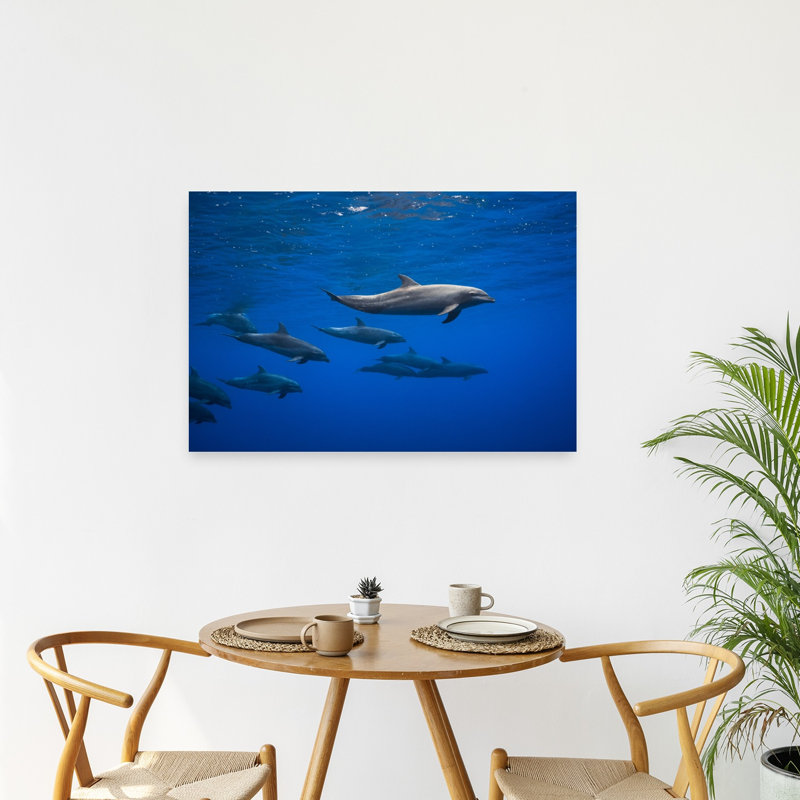 Dolphins Swim Together Peaceful Serene Tranquil Dolphin Nature Ocean Wall Art Print 1 Piece Wrapped Canvas Wall Art