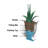 Arvia Self Water Resin Urn Planter-1057165654-976654341