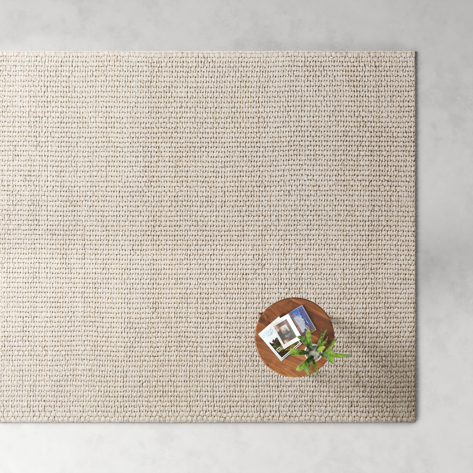 Hero Ivory Hand-Woven Flatweave Rug, Rectangle 8' x 10'