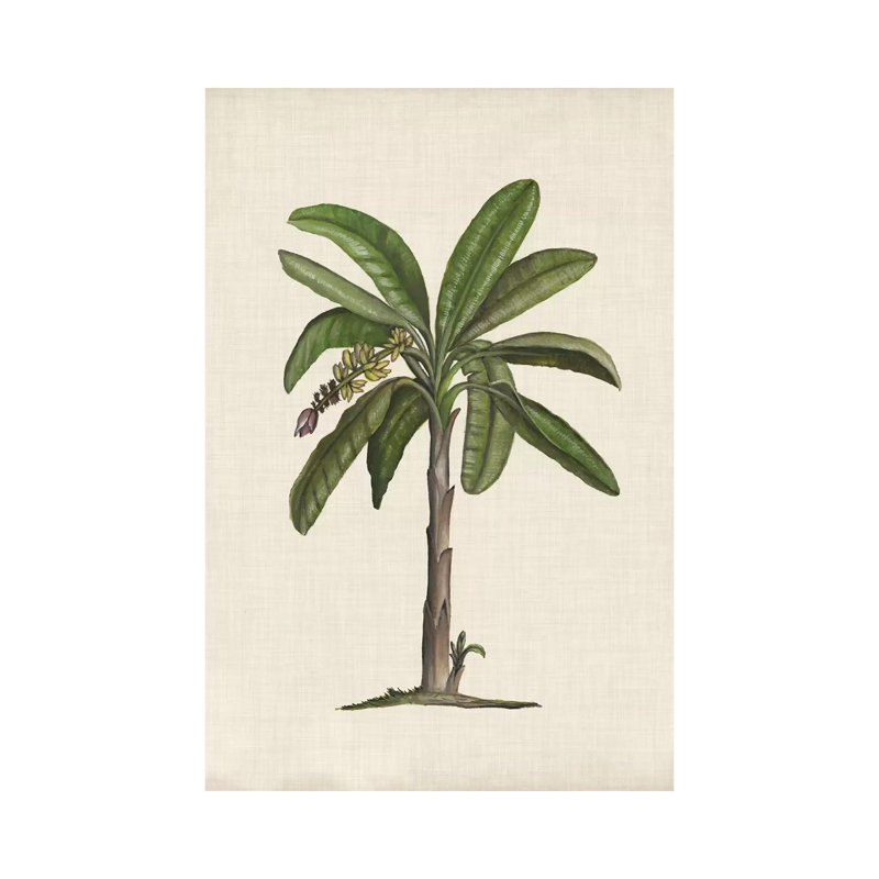 British Palms II by Naomi McCavitt - Wrapped Canvas Gallery-Wrapped Canvas Giclée, 20.32 cm H x 30.48 cm W