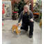 Statue debout d'un tigre du Bengale debout
