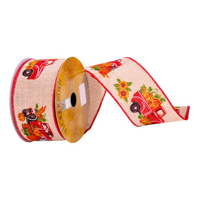 2.5'' Abstract Ribbon