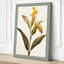 Golden Daffodil Study Botanical - Wrapped Canvas-1735652232-1735652239