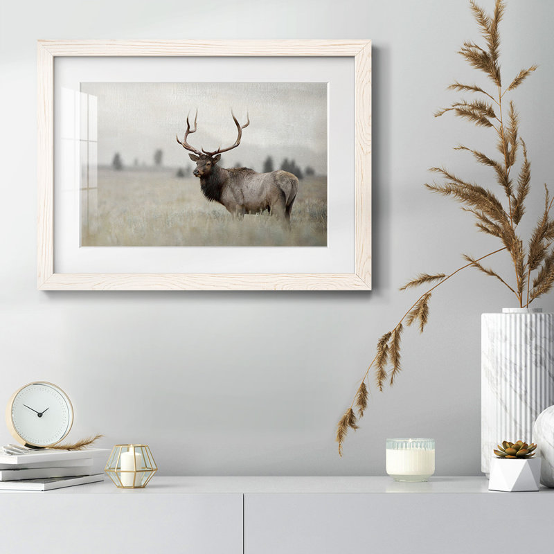 " Grand Elk " Painting Print, White