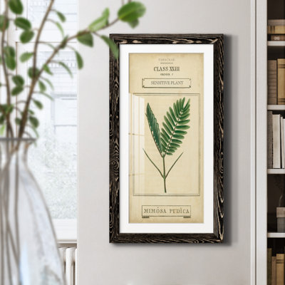 Linnaean Botany IV - Cadre photo, reproduction d'art sur papier