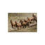 Western Mustangs de Western Ranch - Reproduction numérique sur toile tendue avec châssis-647784172-647784151-647784146