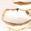 Canora Grey Fruit Bowl