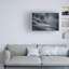 Art sur toile, Peter Peter-719086279