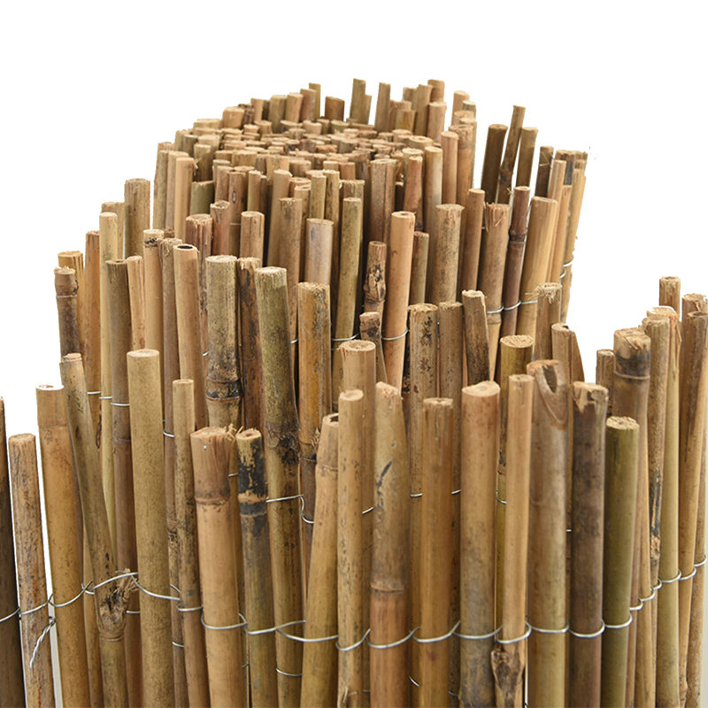 Bamboo Fence