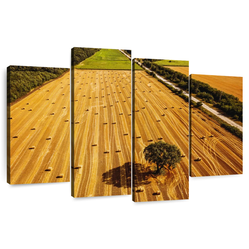 Alvord Hay Bales Fields, 48" H x 75" W