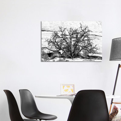 Desert Tree by Philippe Hugonnard - Wrapped Canvas Print