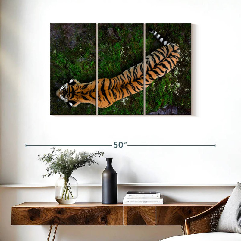 Brampt Tiger From Above, 24" H x 38" W