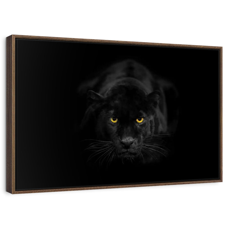 Rare panthère noire, Cadre flottant noir, 37 po x 25 po