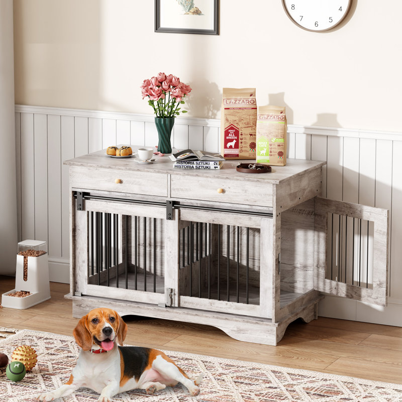 Dog House