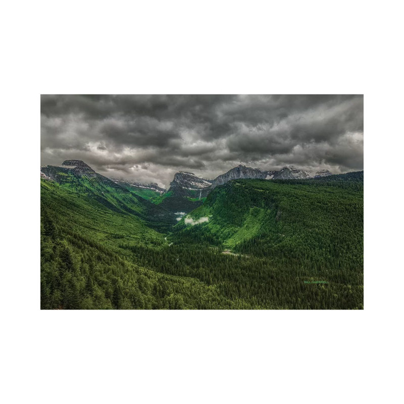 Going Green by Bill Sherrell - Gallery-Wrapped Canvas Giclée on Canvas, Wrapped Canvas, 66.04 cm H x 45.72 cm W x 3.175 cm D