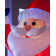 Pre-Lit Animated Santa Inflatable