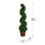 Topiaire de buis 36 po en pot