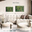 Alvord, arbres et sous-bois-107500354