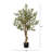 Faux Olive Tree Tree in Pot-1527848764