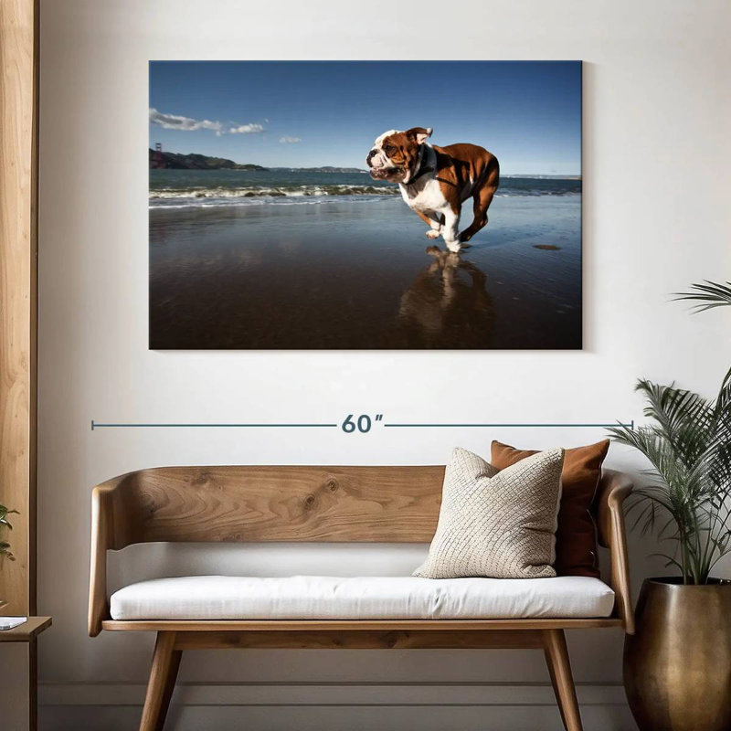 Brampt Dog Beach Run, 32" H x 48" W