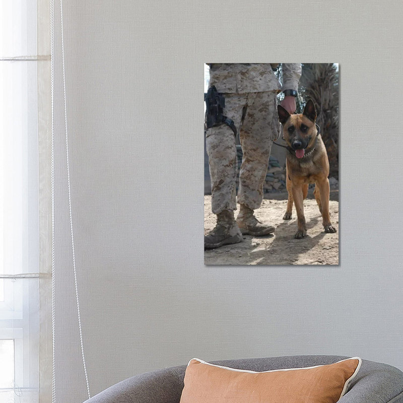 A Belgium Malonois Military Working Dog Stands By His Handler by Stocktrek Images - Wrapped Canvas Print