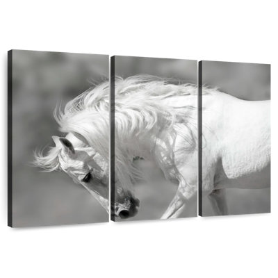 Brampt Majestic White Stallion