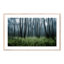 Eerie Trees IV Framed Photographic Print