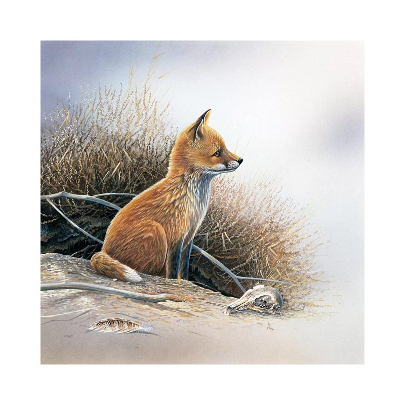 Little Fox by Jan Weenink - Wrapped Canvas Painting, 45.72 cm H x 45.72 cm W