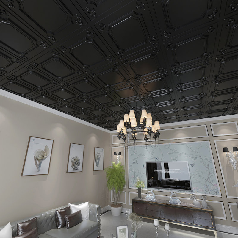 24'' L x 24'' W Smooth PVC Drop-In Ceiling Tile, Black