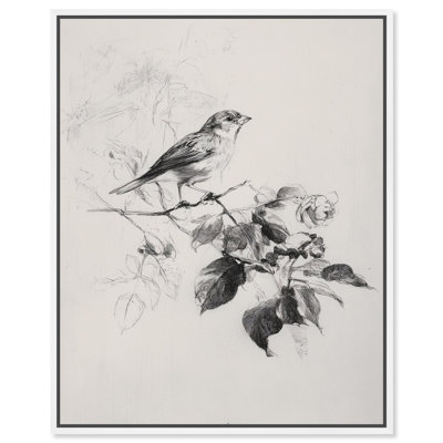 «Bird on a Branch IV», reproduction d'art sur toile par Art Remedy, cadre blanc, 20 x 24