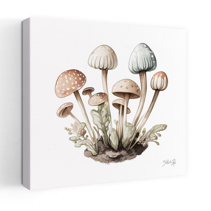 Champignons doux, art de l'architecture contemporaine, H 36 po x l 36 po