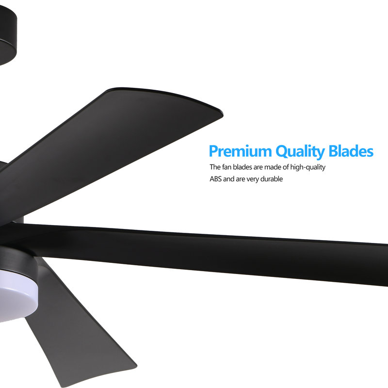 Quentin 65" Dimmable LED Ceiling Fan with Remote Control
