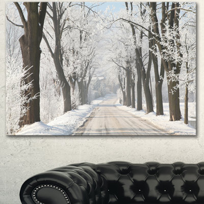 " Winter Lane In Countryside "