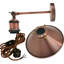 Caribe Plug-in Armed Sconce-918661218