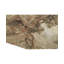 Wool Floral Area Rug in Brown