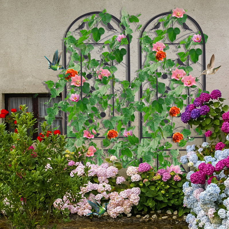 Charmagne 82.6'' H x 19.7'' W Iron Arched Trellis