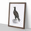 Mountain Eagle Illustration - Framed Print-55617674-55617675