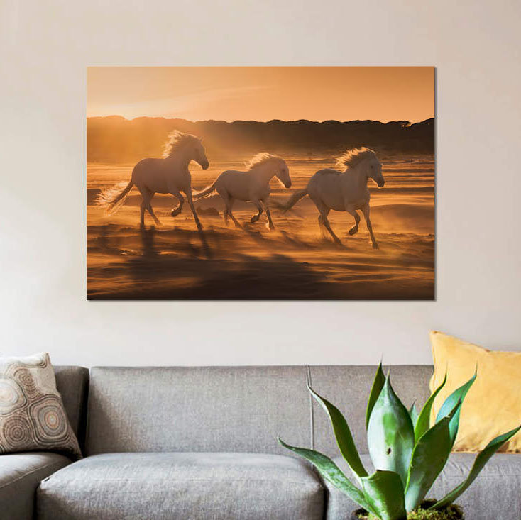 «White Angels of Camargue XLII» par Daniel Kordan, reproduction de photo sur toile tendue, H 40 po x l 60 po x P 1,5 po