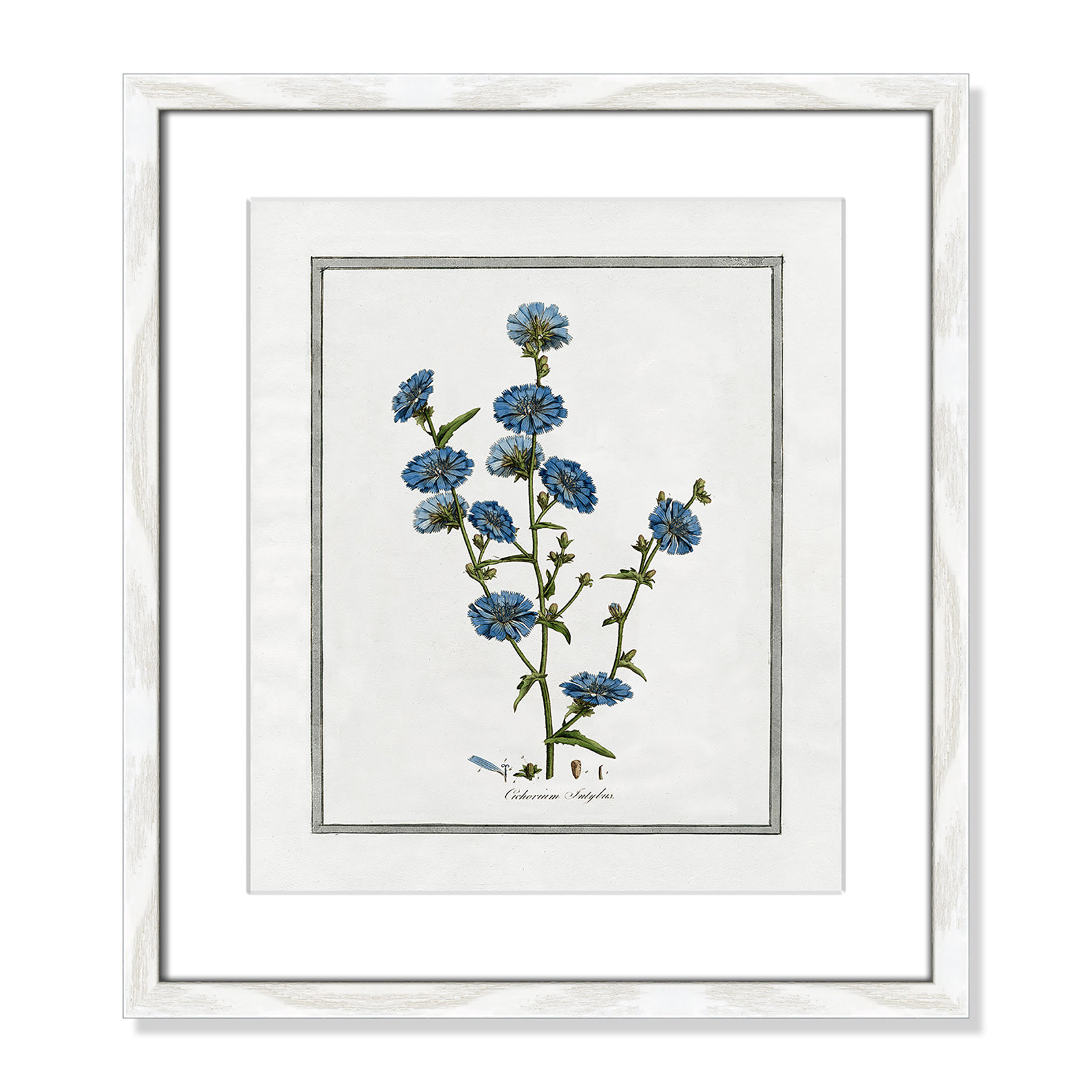 Colombe "Soft Botanical I" Print, 13" W x 15" H, White Framed