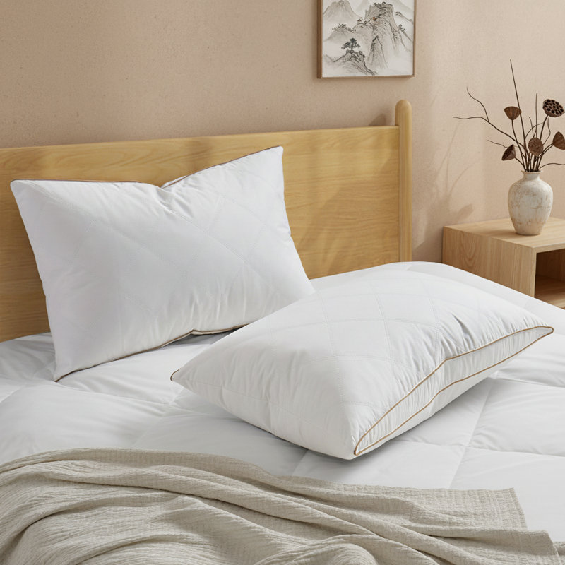 Ensemble de 2 oreillers en plumes d'oie et en duvet à soufflet pour couette - ensemble de 2 housses 100% coton de qualité hôtelière à support moyen pour les dormeurs latéraux et dorsaux, très grand