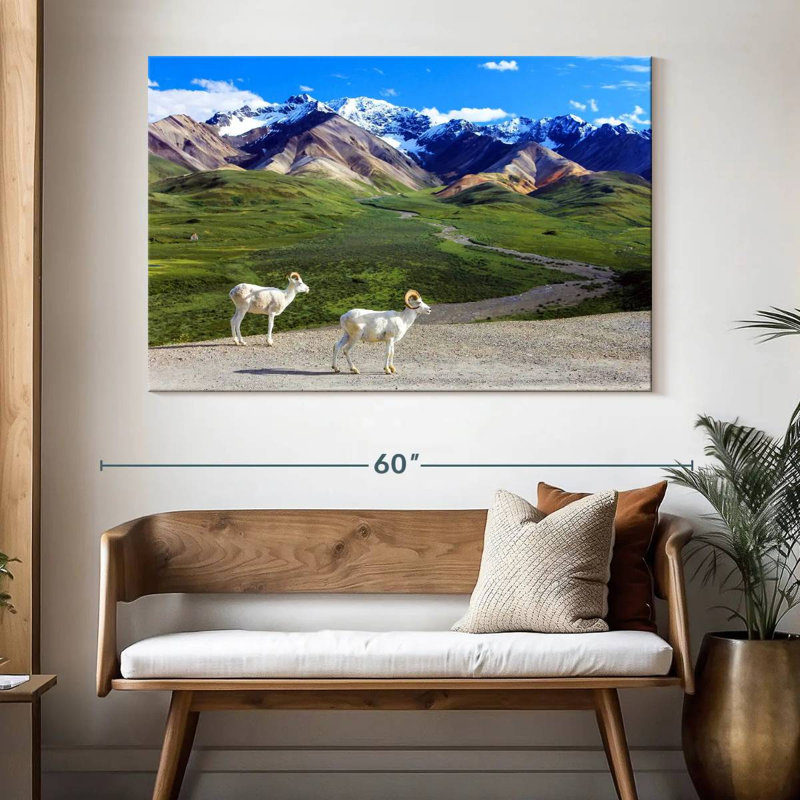Rorry Dall Sheep In Denali, 34" H x 51" W