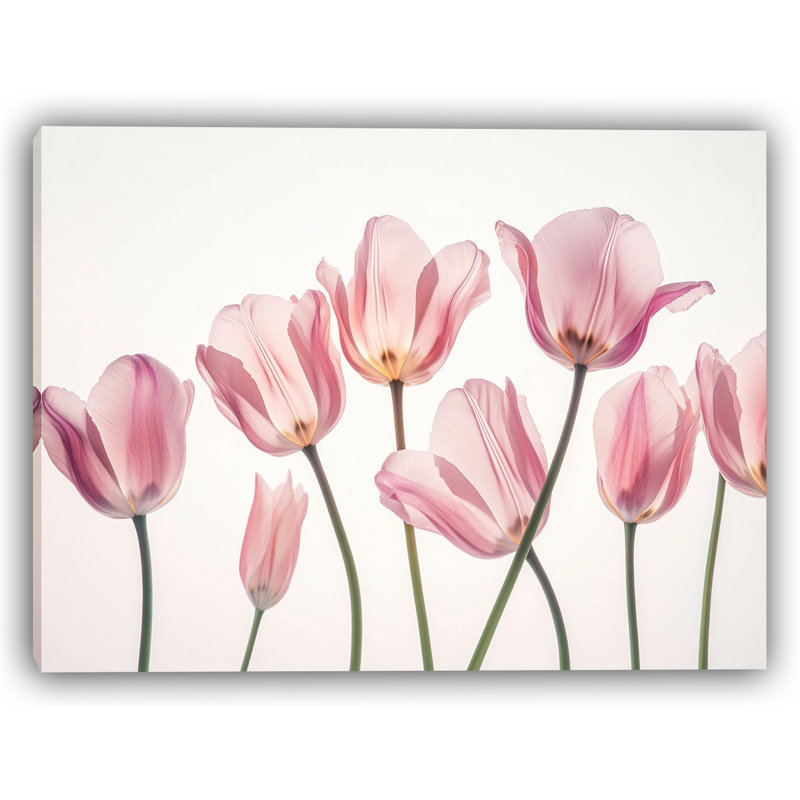 «Whispers of Spring - Botanical Tulip», art mural, H 30 po x l 40 po